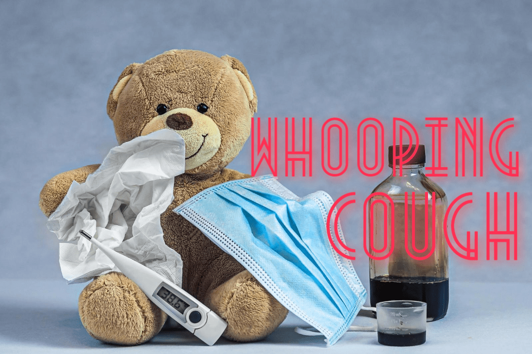 아동과 청소년 중심으로 전 세계적 유행: 발작성 기침 백일해 1 whooping cough