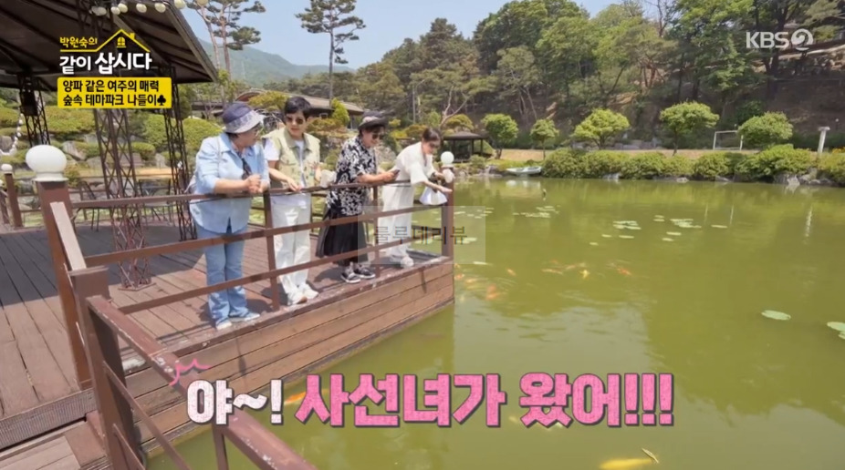 같이삽시다 여주 숲속 테마파크 촬영지 장소 위치 어디? 4 ywAAAAAAQABAAACAUwAOw==