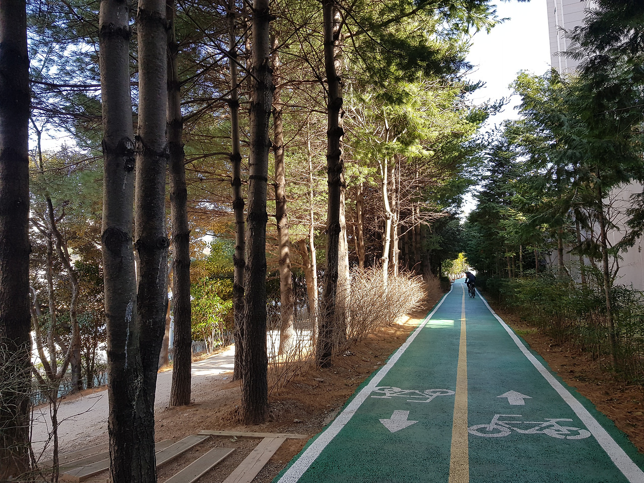 자전거 순우리말