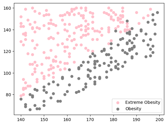[MachineLearning] bmi 학습하기