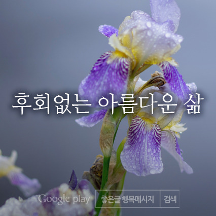 우와마트 이미지