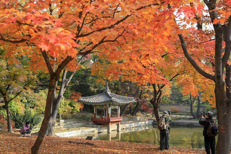 카페텅