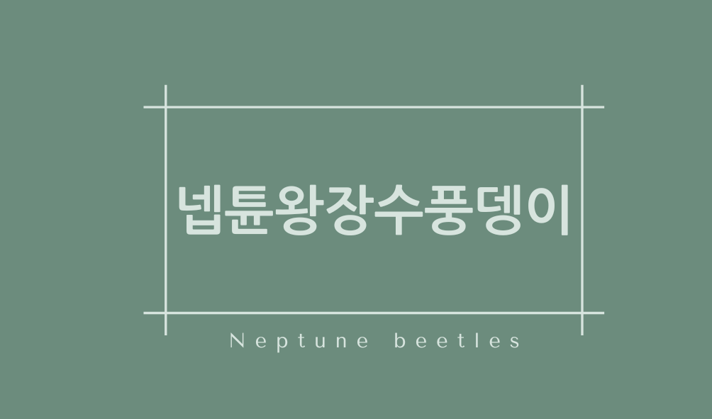 넵튠왕장수풍뎅이(Neptune beetles)특징,서식지,종류,천적,수명,몸무게,꿈해몽