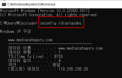 노트북 윈도우 인터넷 속도 최적화하기 | CMD에서 DNS 캐시 삭제 2 ywAAAAAAQABAAACAUwAOw==
