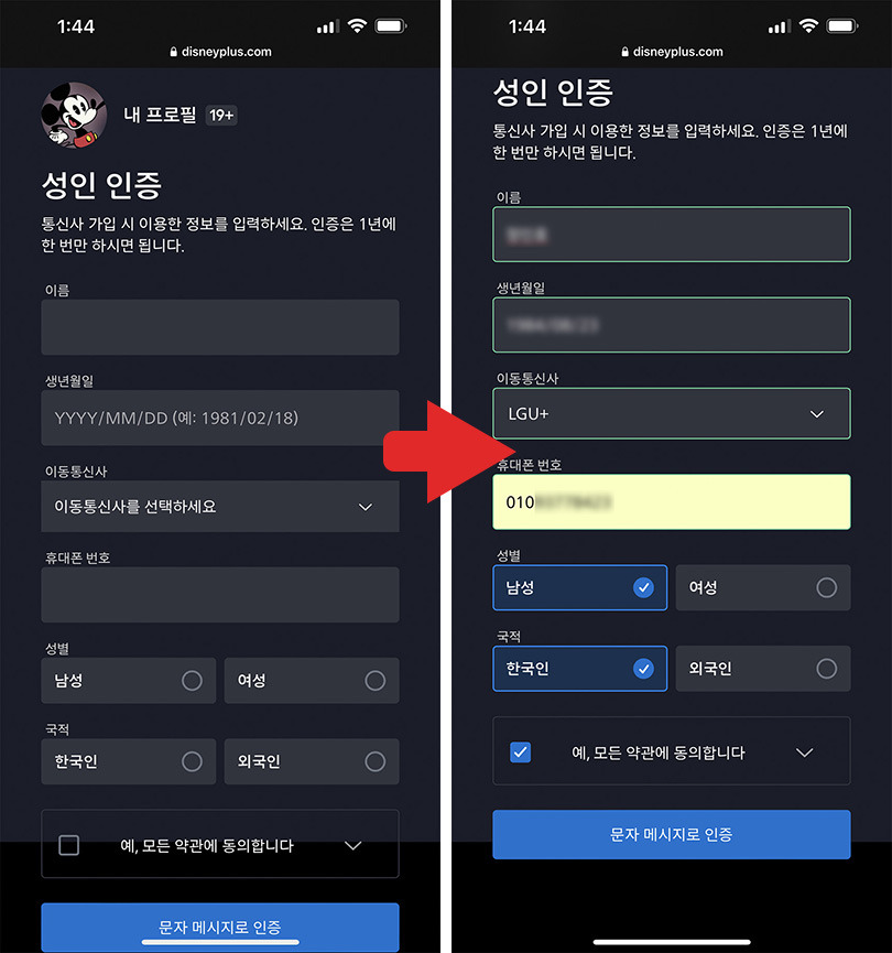 디즈니플러스 성인인증 알아봤어요