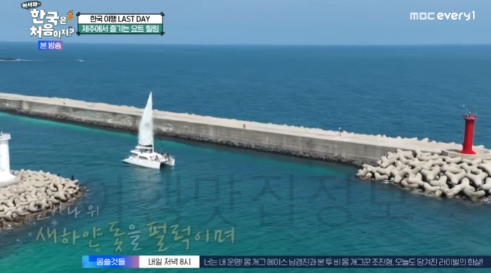 어서와 제주 요트 힐링 촬영지 어디? 한국은 처음이지 305회 뉴질랜드 앤디 2 ywAAAAAAQABAAACAUwAOw==