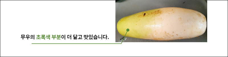 맛있는 겨울 무,밥도둑 참치 무조림 황금레시피 3 ywAAAAAAQABAAACAUwAOw==