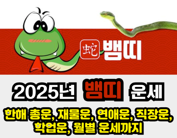 2025년 운세 - 뱀띠