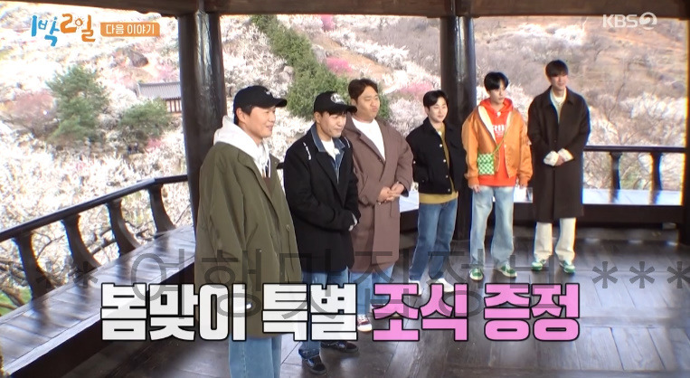 KBS 1박2일 광양 매화마을 촬영지 장소 위치 어디? 170회 4월 5일 방송 2 ywAAAAAAQABAAACAUwAOw==