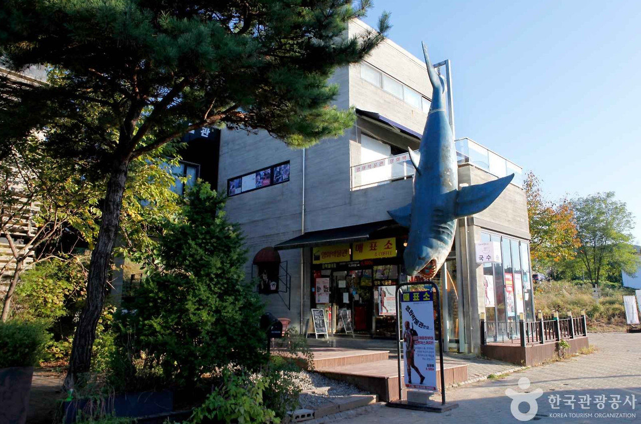파주 가볼만한 곳 관광 명소 추천 BEST 10