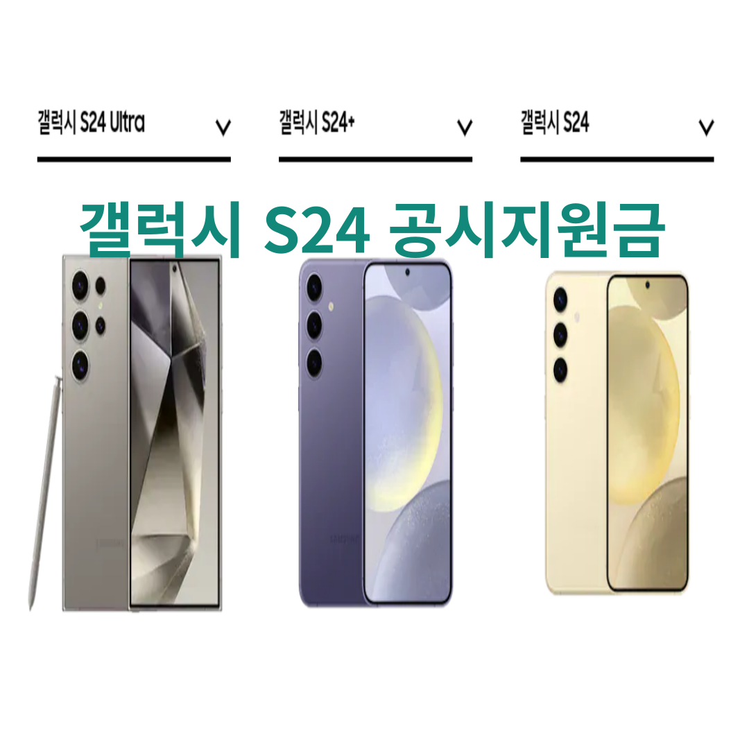  s24 