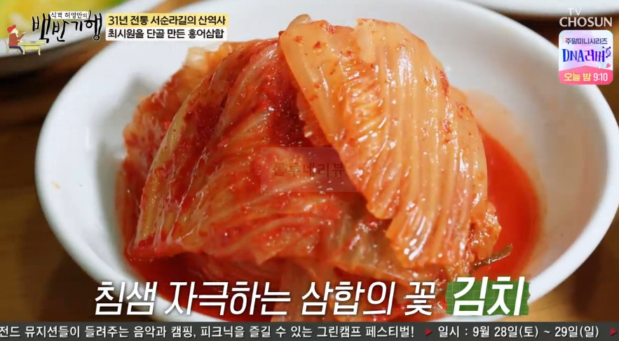 백반기행 홍어삼합 맛집 어디? 31년 전통 서순라길의 산역사 최신원 단골 홍어집 7 ywAAAAAAQABAAACAUwAOw==