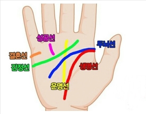 손금의 기본 선(생명,두뇌,재물)위치는... 4 ywAAAAAAQABAAACAUwAOw==