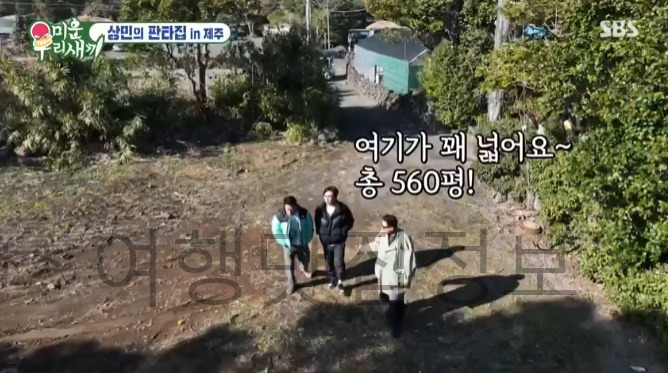 미우새 336회 상민의 판타집 in 제주, 세 번째 집, 보증금 2,000만원 월세 20만원 560평 레트로 초가집 6 ywAAAAAAQABAAACAUwAOw==