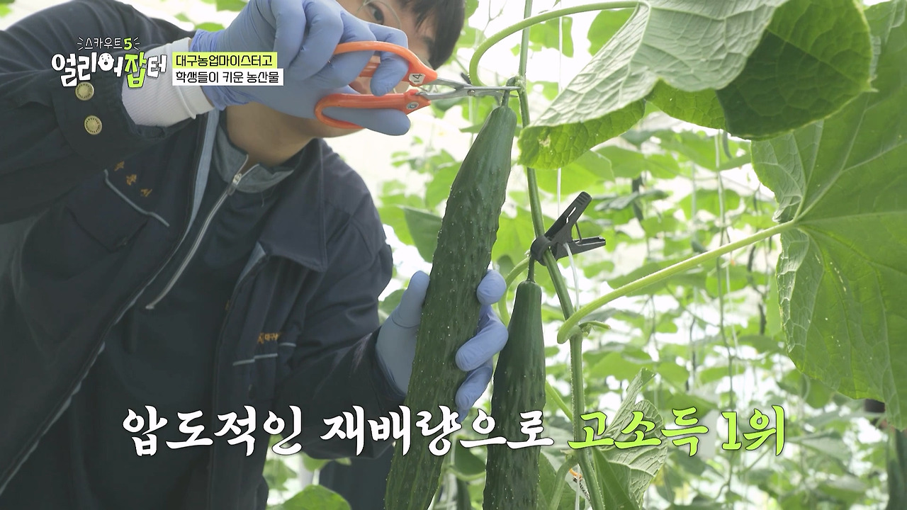 부지만 축구장 40개 크기라는 고등학교.jpg