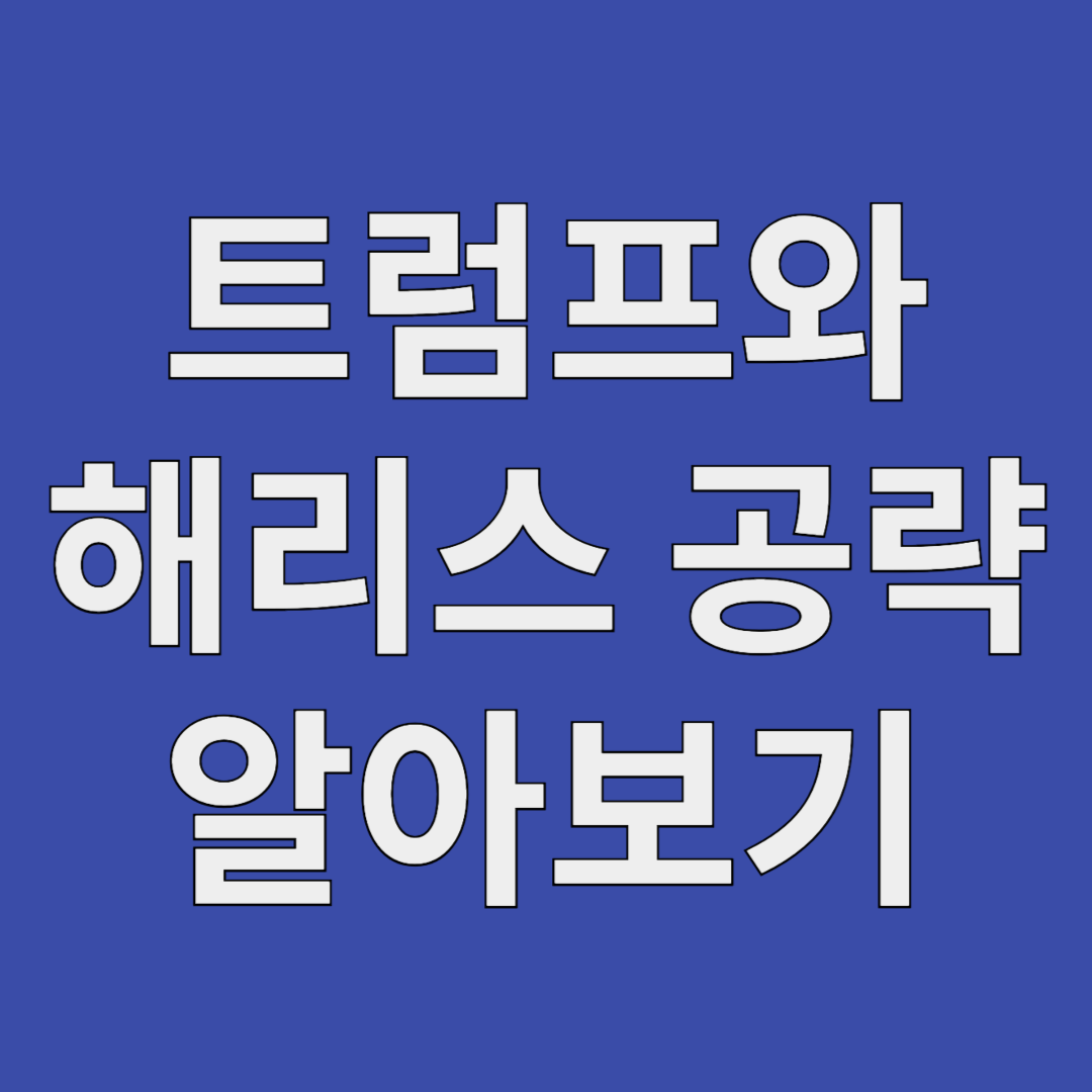 아로스 팝업