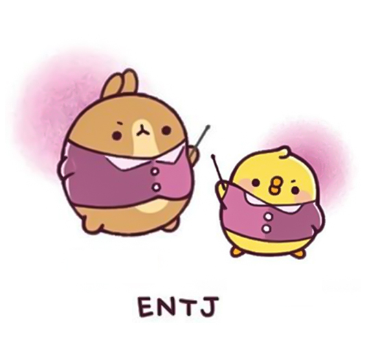 ENTJ 유형 특징 성격 추천직업 연애스타일 분석정리(+팩폭)