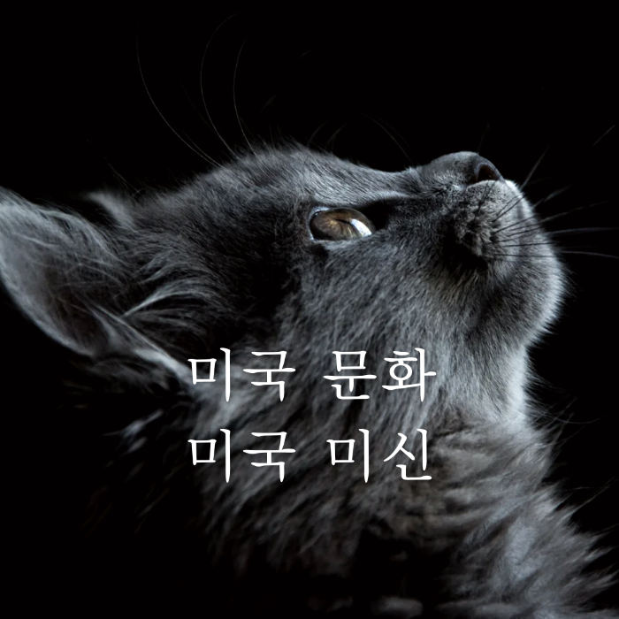 미국 일상 문화에 스며 있는 미신(Superstition) 이야기 1 미국 일상 문화에 스며 있는 미신 이야기
