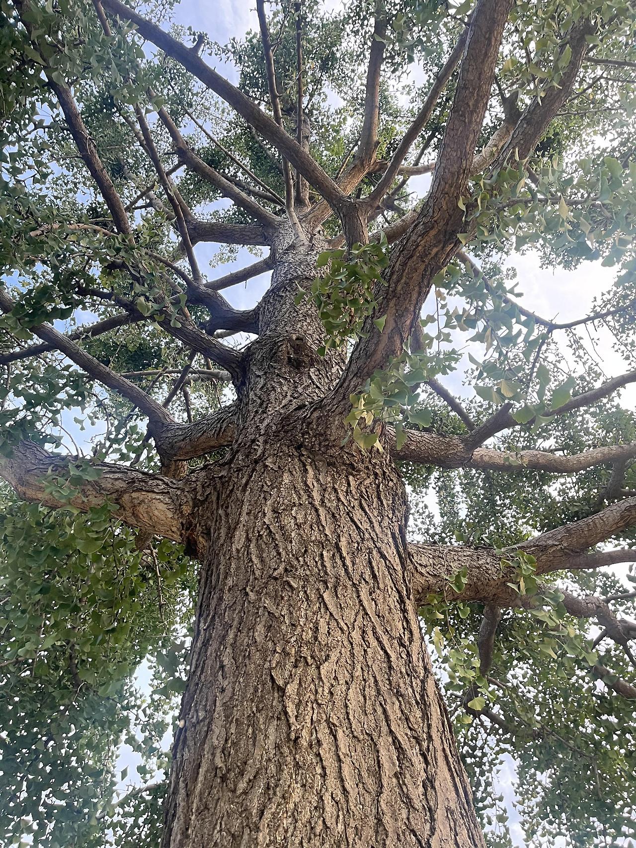 ?scode=mtistory2&fname=https%3A%2F%2Fblo