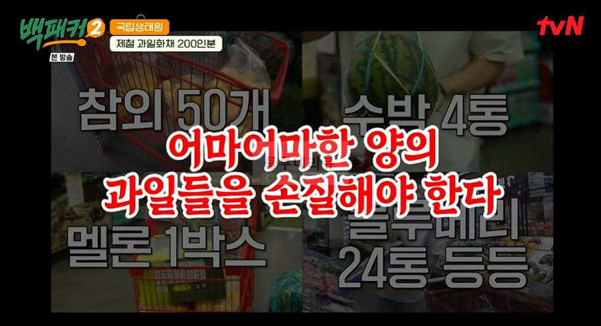 백패커2 제철 과일 화채 디저트 만들기 레시피 - 과일화채 200인분 4 ywAAAAAAQABAAACAUwAOw==