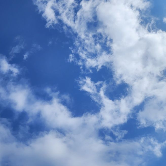 [샹송] L'amour Est Bleu (Love is blue) Clementine, Claudine Longet