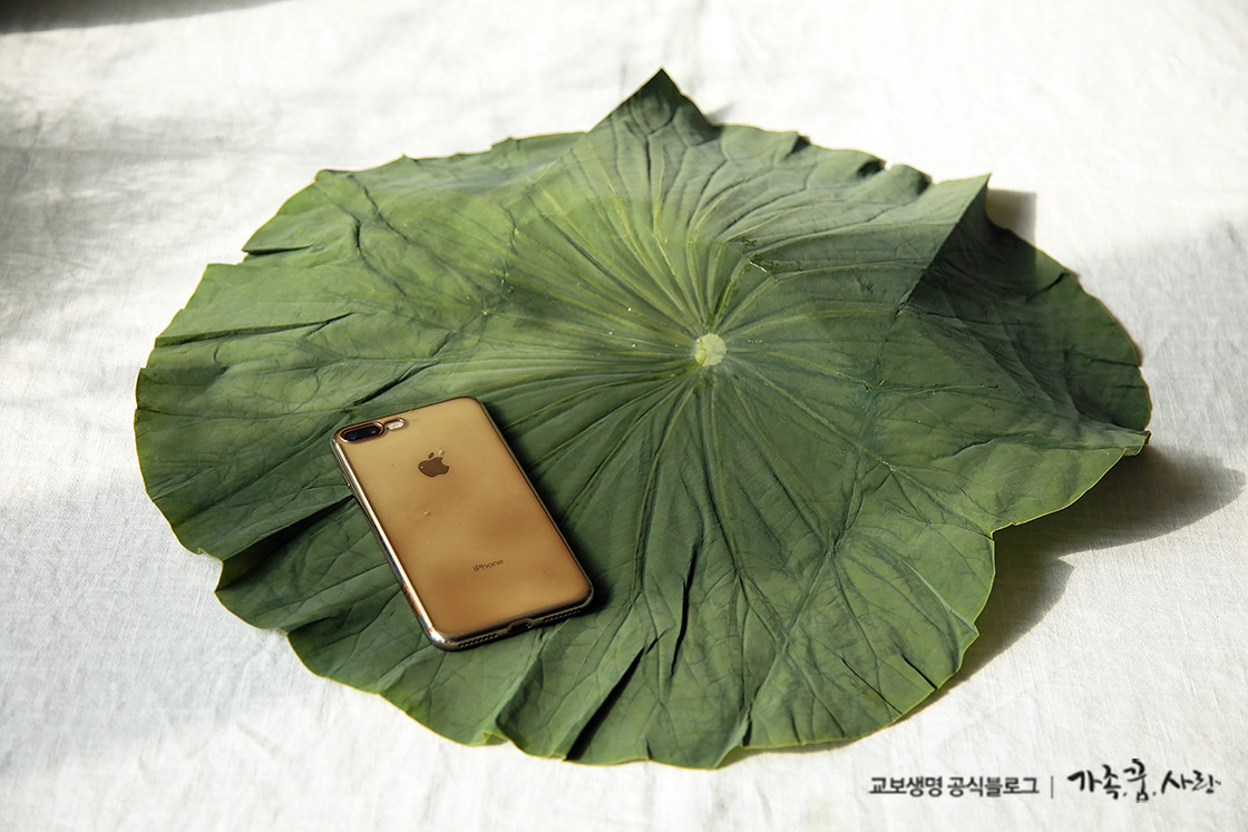 연잎 속 가득 담긴 가을 영양식, ‘연잎밥’ 레시피