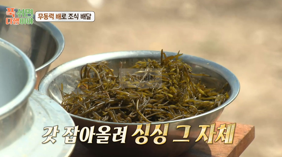 푹쉬면다행이야 톳 된장국 만들기 레시피 - 정호영 셰프 무동력 배로 조식 배달 2 ywAAAAAAQABAAACAUwAOw==