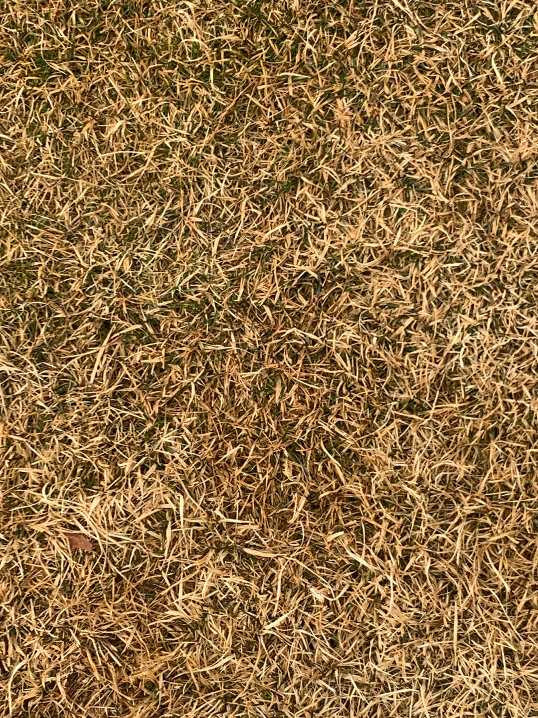 KPGA 2022시즌 개막전이 열리는 라비에벨CC 올드코스 라운드 후기 9 ywAAAAAAQABAAACAUwAOw==