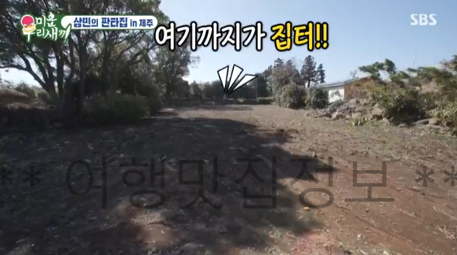 미우새 336회 상민의 판타집 in 제주, 세 번째 집, 보증금 2,000만원 월세 20만원 560평 레트로 초가집 7 ywAAAAAAQABAAACAUwAOw==