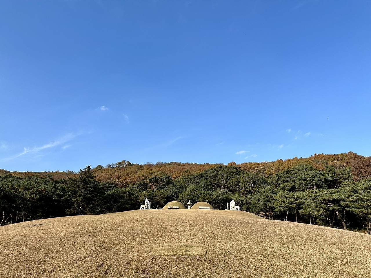 김포 장릉 | 김포장릉 세계문화유산 | 김포 장릉 아파트