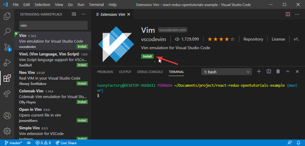 visual studio vim plug