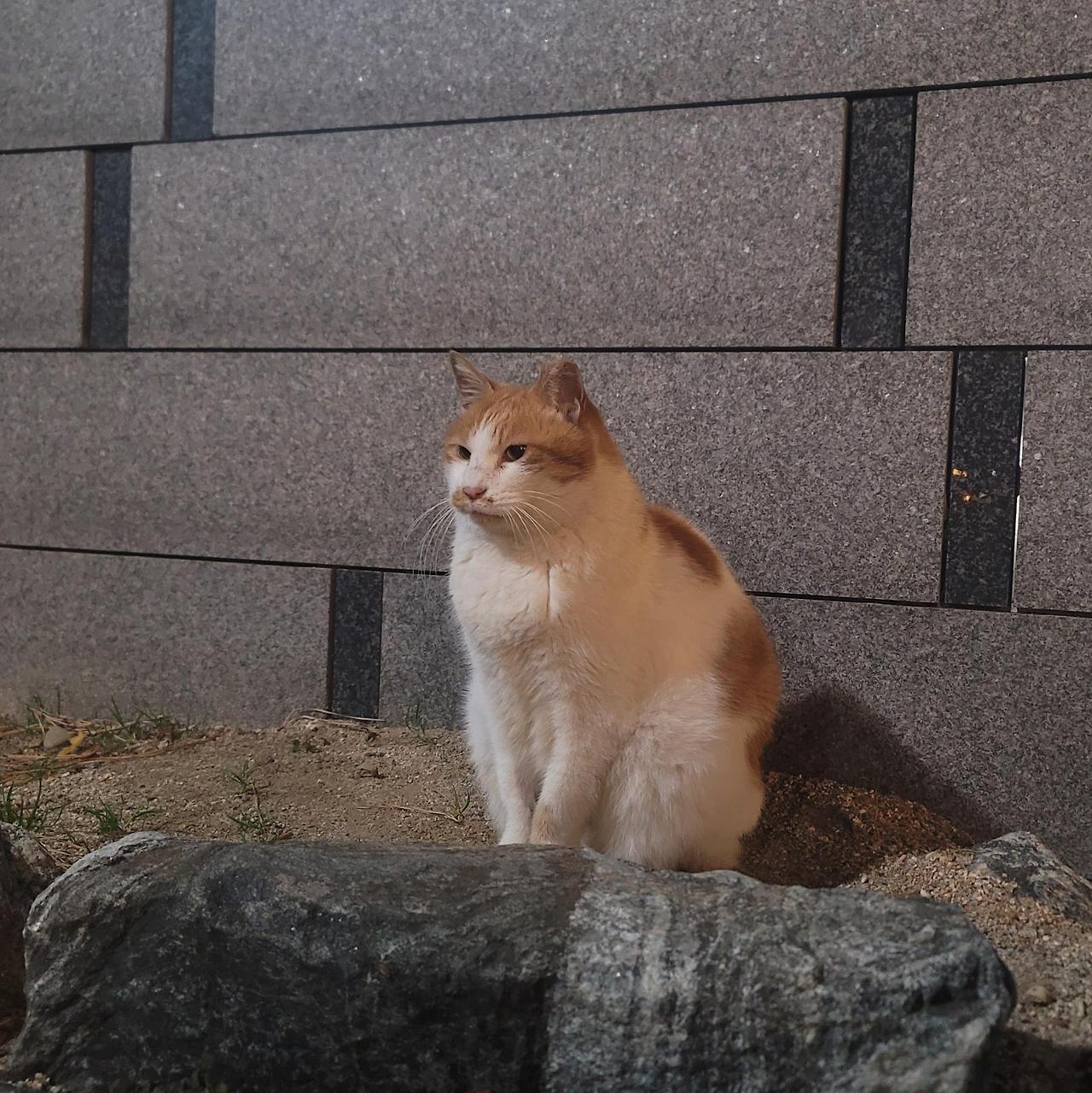 ?scode=mtistory2&fname=https%3A%2F%2Fblo