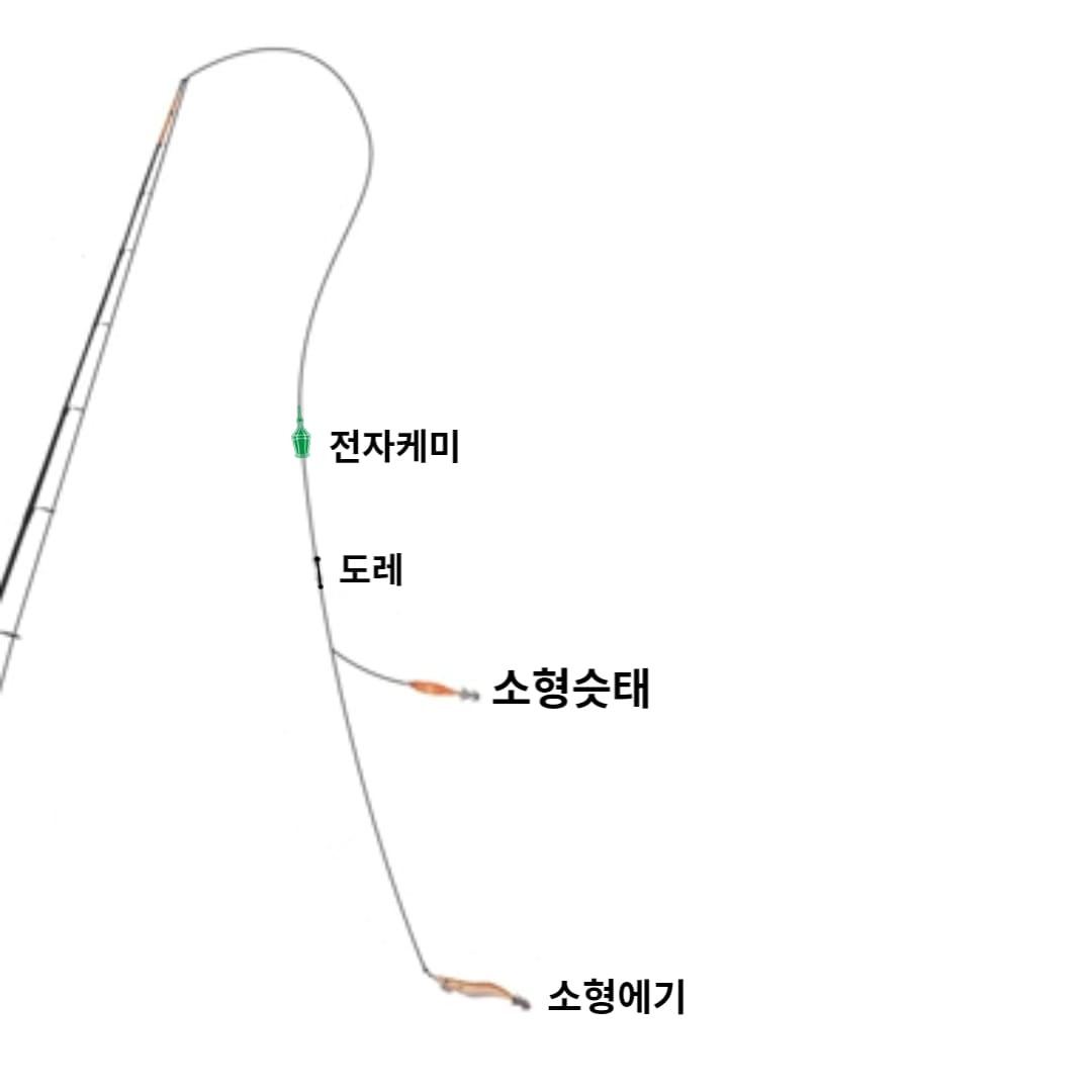 호래기낚시 입문하기-준비와 팁