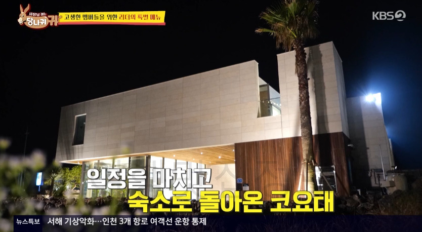 당나귀귀 코요태 제주도 숙소 보기(위치 연락처 예약)! 김종민 신지 빽가, 리더의 특별 메뉴, 수영장 1 ywAAAAAAQABAAACAUwAOw==