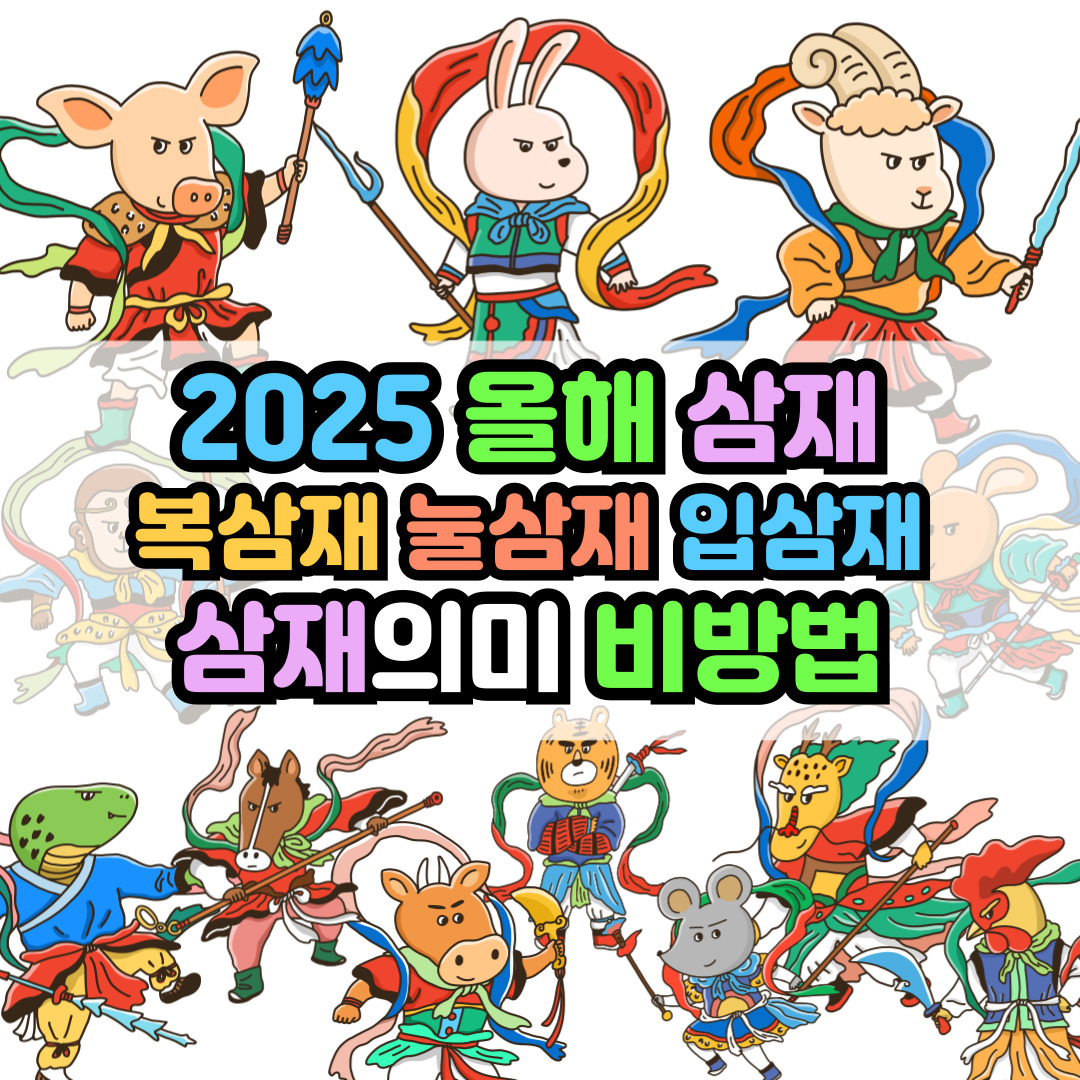 2025년 올해 삼재띠 삼재계산 삼재피하는법 복삼재 야삼재 날삼재 입삼재 눌삼재