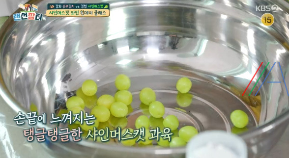 랜선장터 샤인머스캣 와인 만들기 원데이 클래스, 샤인머스켓 와인 만드는 법 레시피 4 ywAAAAAAQABAAACAUwAOw==