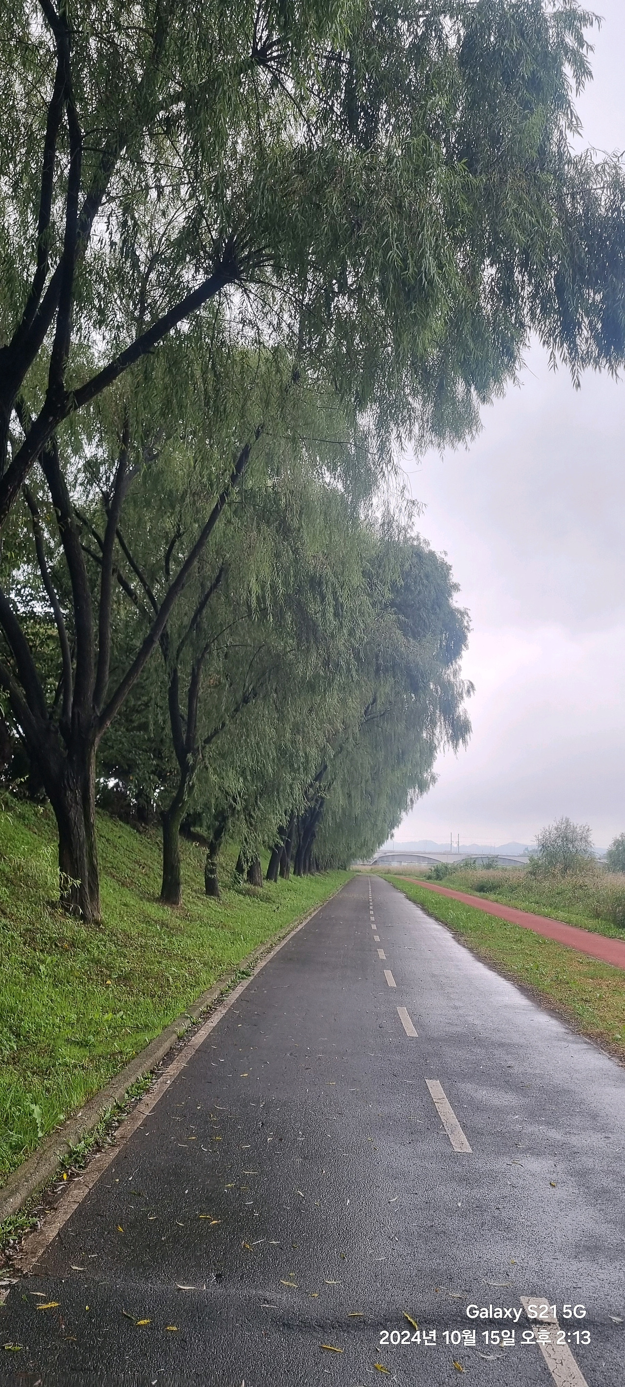 오천자전거길 3일 타고 성심당 대전 여행 (수안보, 소조령, 오창, 대청댐, 갑천, 성심당)