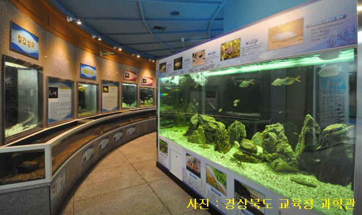 포항 실내 데이트 가볼만한곳 Top10 :: 해프릭스