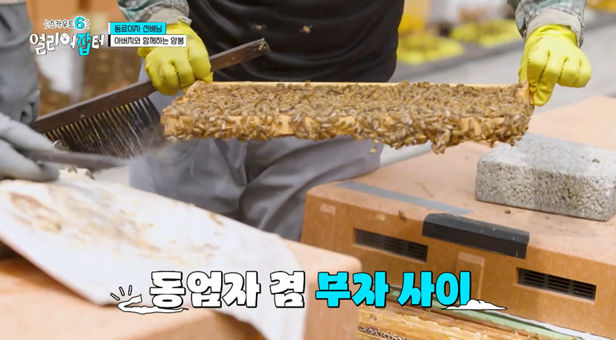 옛날이랑 다른 요즘 매출 4억 나온다는 농업.jpg | 인스티즈