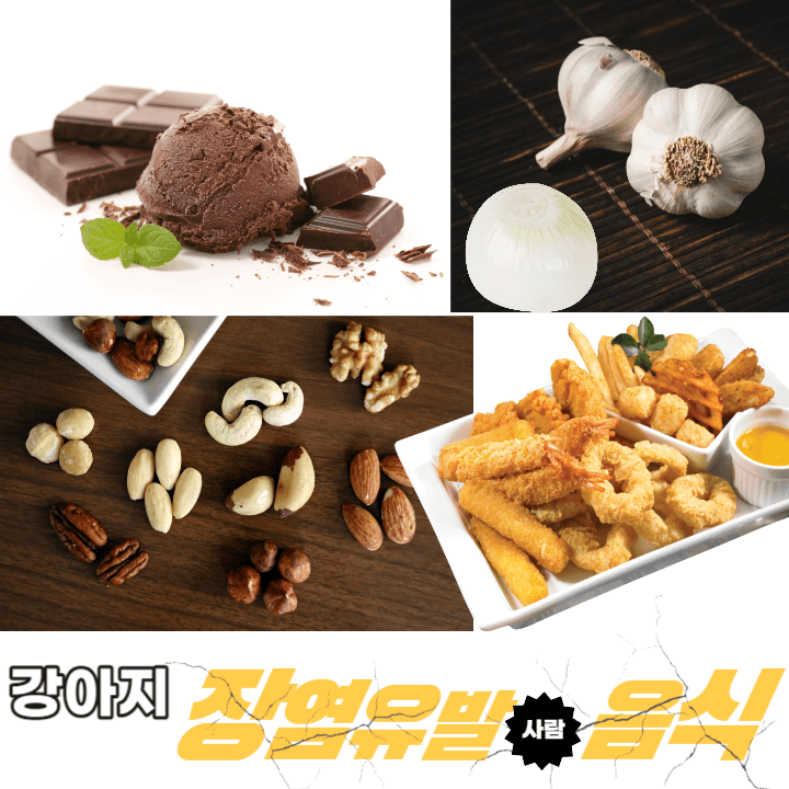 강아지 장염 증상 : 이럴 땐 꼭 병원에 가세요! 3 ywAAAAAAQABAAACAUwAOw==