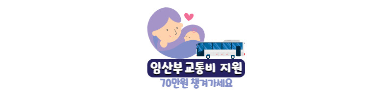 임산부라면 70만원 혜택 챙기셔야죠 서울시 임산부 교통비 지원 사업 총정리 1 ywAAAAAAQABAAACAUwAOw==
