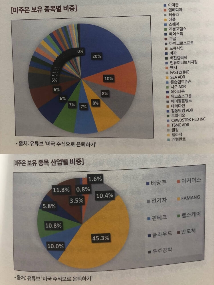 미주은/ 미국주식으로 은퇴하기/요약 및 정리 11 미주은 보유종목멸 비중