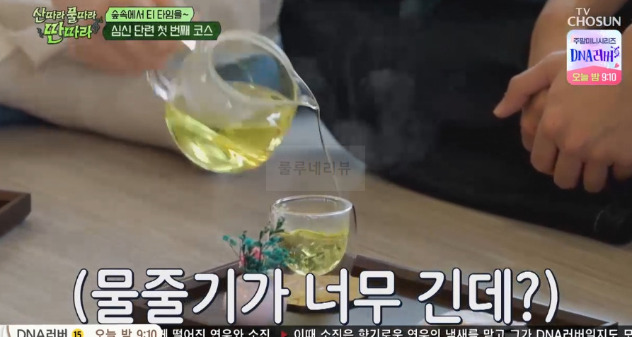 산물딴 숲속에서 티 타임을~ 심신 단련 첫 번째 코스, 힐링의 정석 산림치유공간 계룡 2 ywAAAAAAQABAAACAUwAOw==