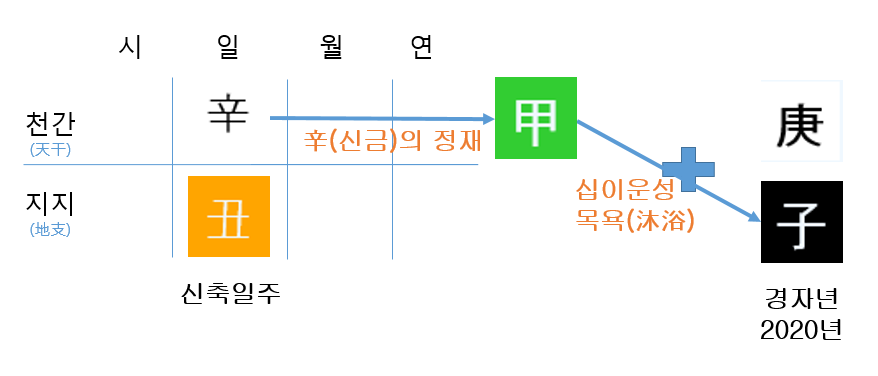 2020년 경자년 운세(신축일주)