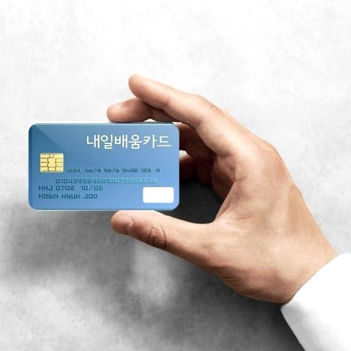 '1인 최대 500만원' 내일배움카드, 공무원.대기업 직원도 가능 1 ywAAAAAAQABAAACAUwAOw==