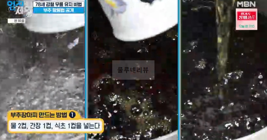 엄지의제왕 부추장아찌 만들기 레시피 - 무릎 튼튼 부추 활용법 2 ywAAAAAAQABAAACAUwAOw==