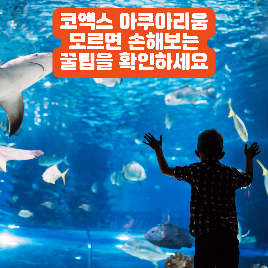 코엑스 아쿠아리움