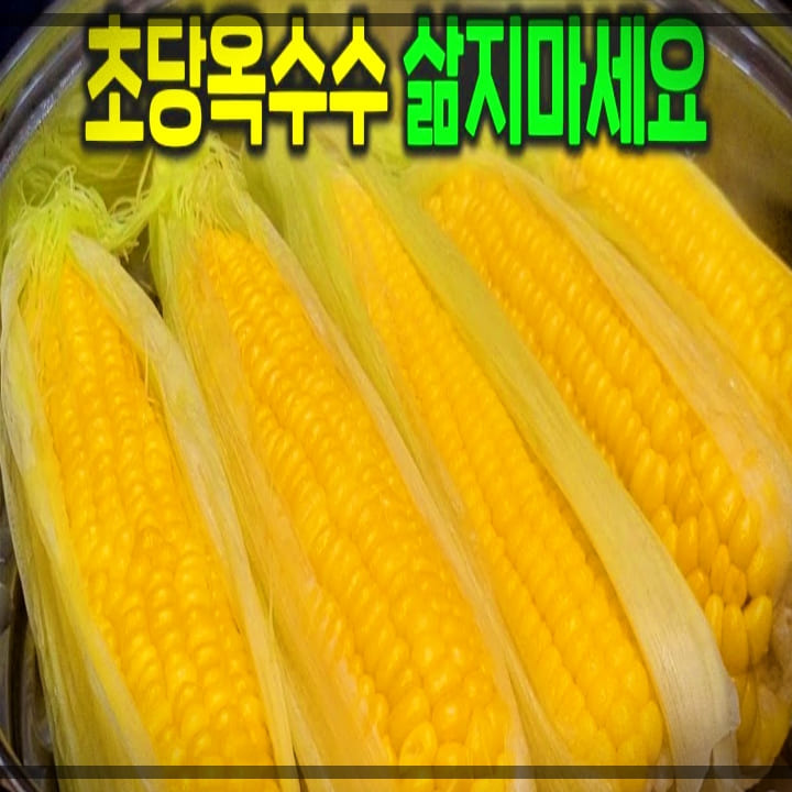 초당옥수수 찌는법: 가장 맛있게 먹는법, 실패 없는 보관법, 활…