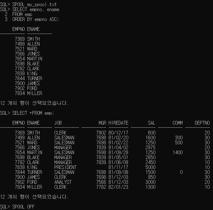 5. oracle (SPOOL, HOST)