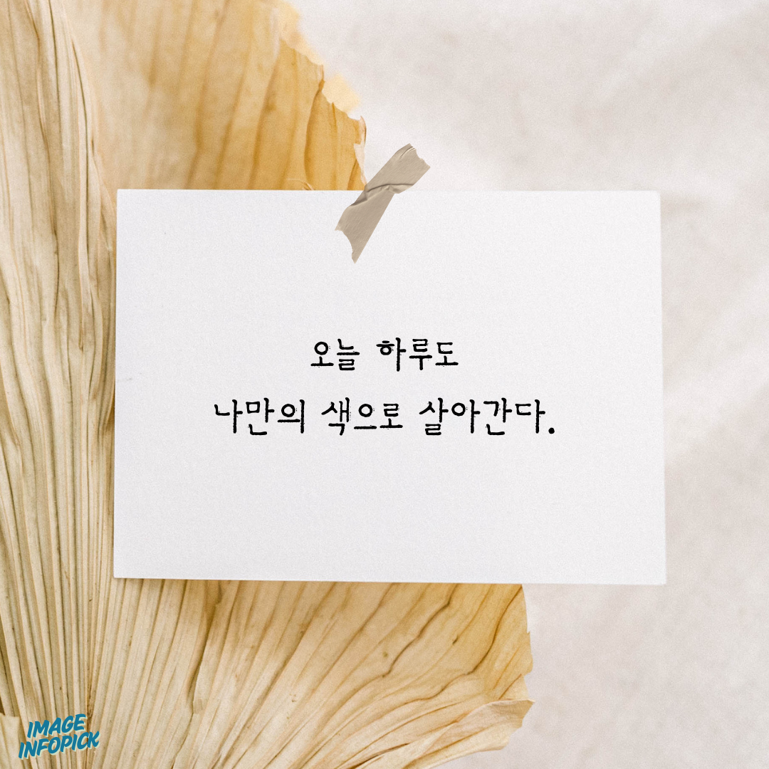 카톡 좋은 글귀 감성 글귀 이미지 모음